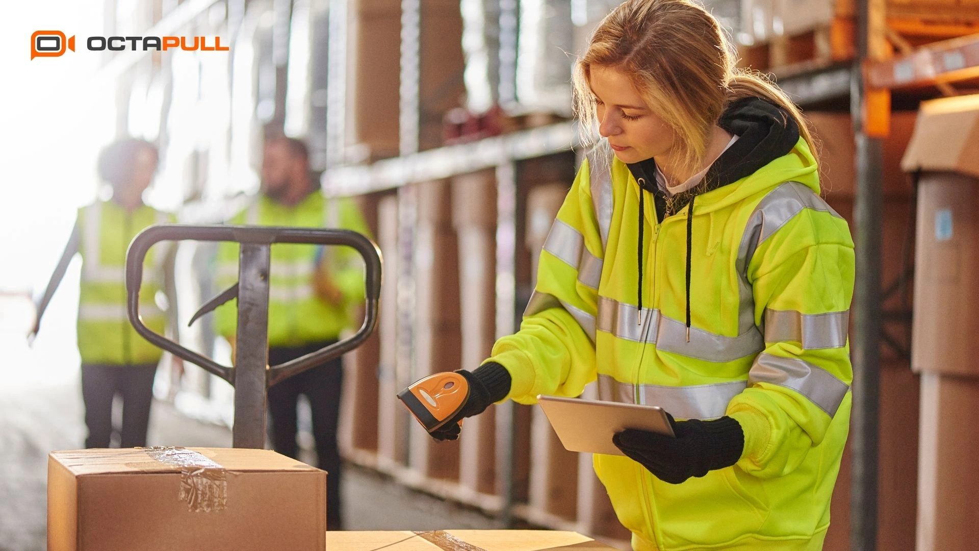 Depo Otomasyonu mu ERP mi İhtiyacınıza Uygun Sistemi Nasıl Seçersiniz-Octapull